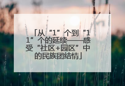 从“1”个到“11”个的延续——感受“社区+园区”中的民族团结情